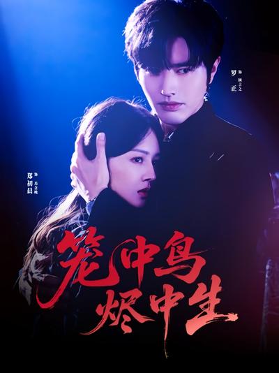 笼中鸟，烬中生}