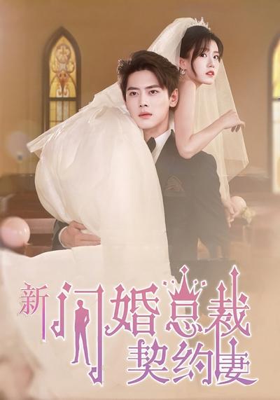 新闪婚总裁契约妻}