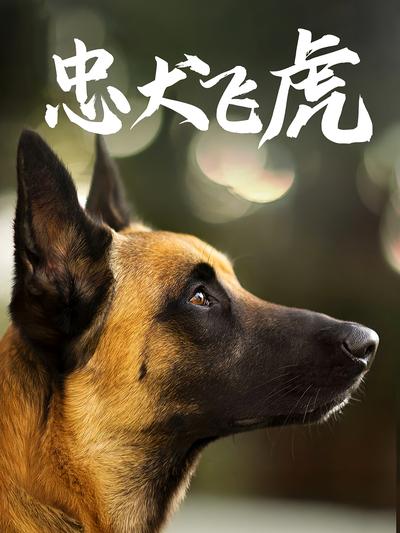 忠犬飞虎}