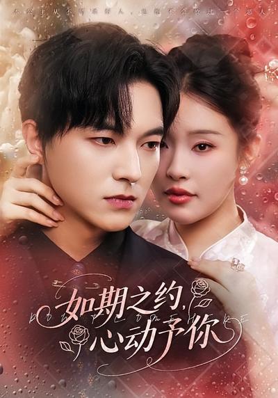 如期之约，心动予你}