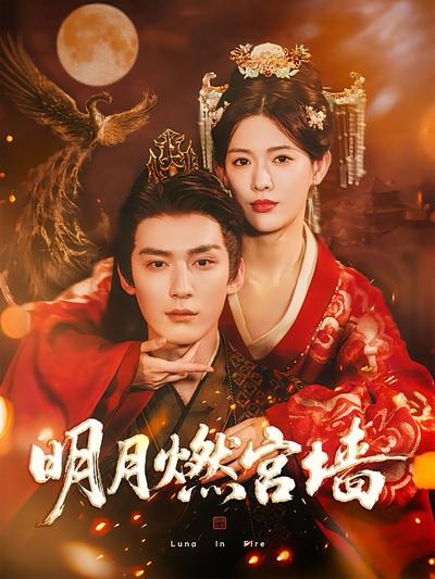 明月燃宫墙}