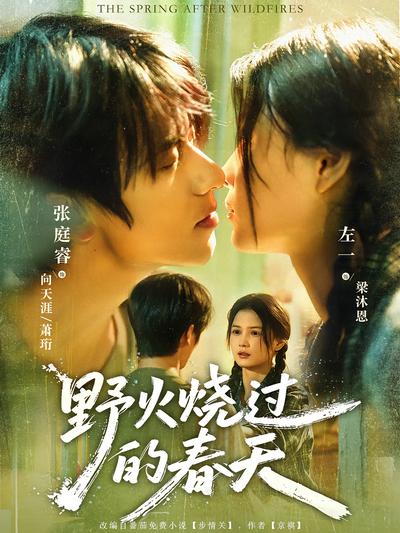 野火烧过的春天}