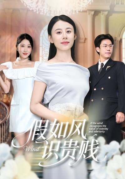 假如风识贵贱}