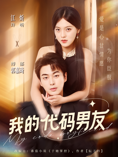 我的代码男友}