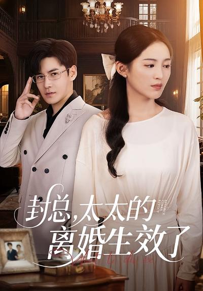 封总，太太的离婚生效了}