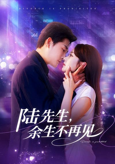 陆先生，余生不再见}