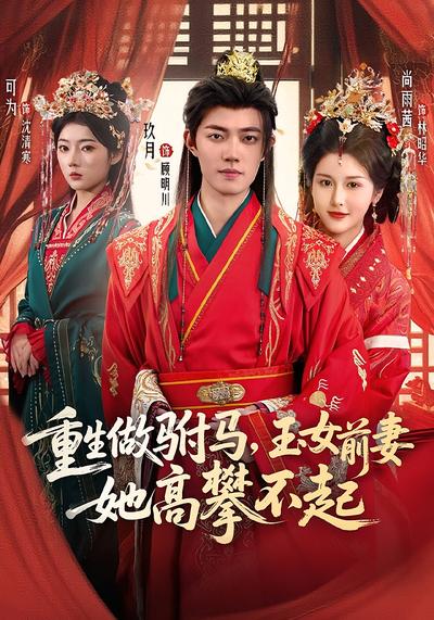 重生做驸马，玉女前妻她高攀不起}