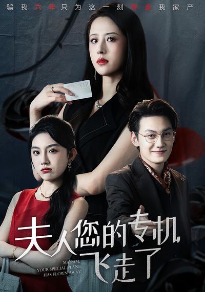 夫人您的专机飞走了}