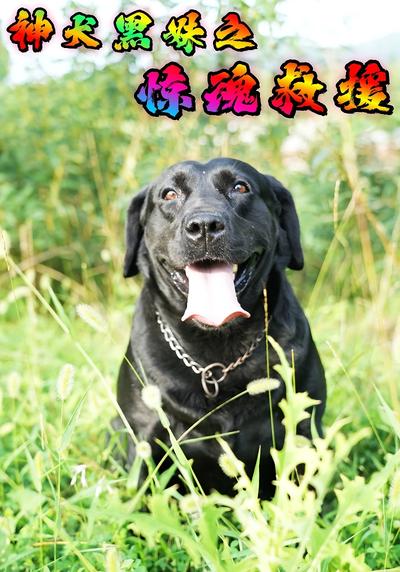 神犬黑妹之惊魂救援}