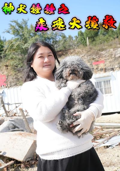 神犬锤锤之疾速大援救}