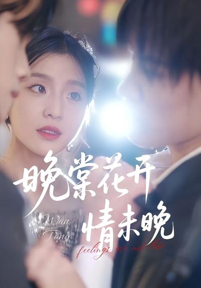 晚棠花开情未晚}
