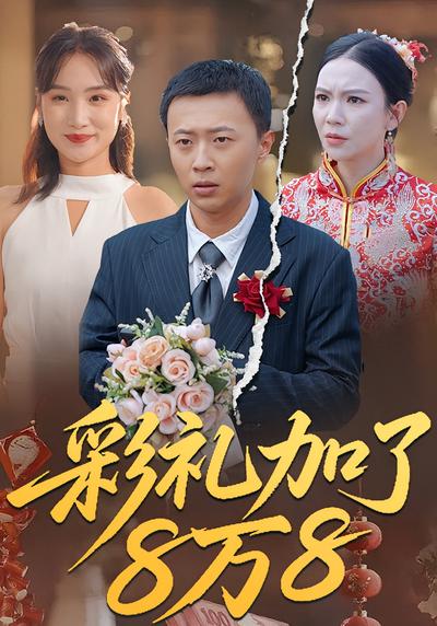 彩礼加了8万8}