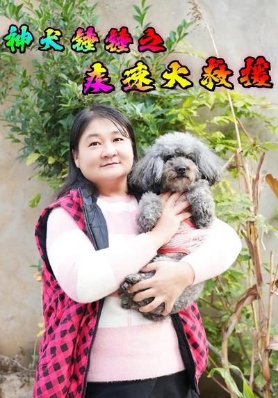 神犬锤锤之疾速大救援}