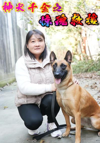 神犬千金之惊魂救援}