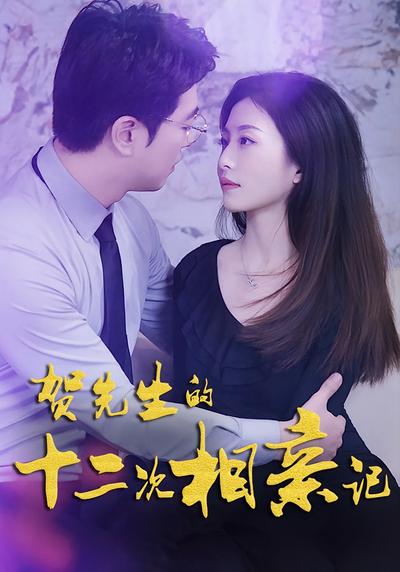 贺先生十二次相亲记}
