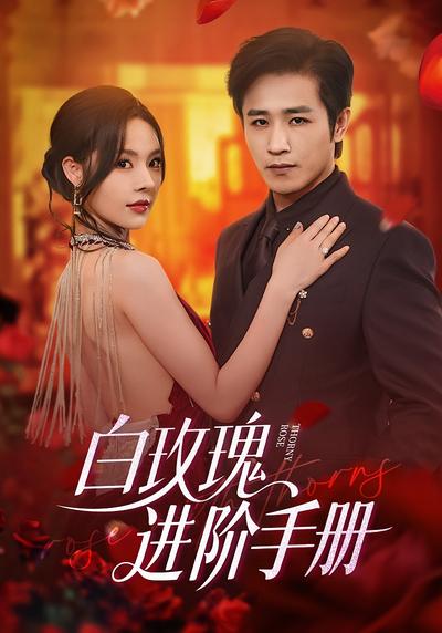 白玫瑰进阶手册}