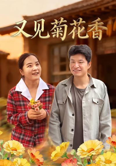 又见菊花香}