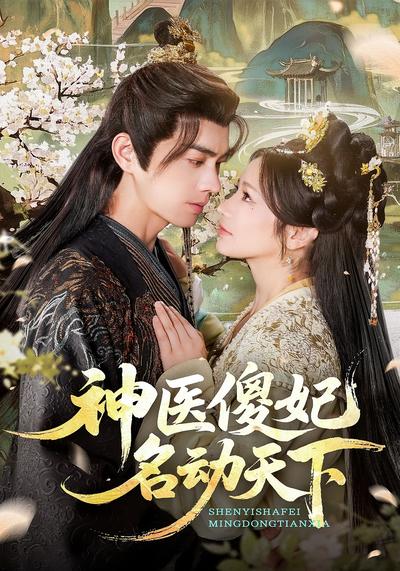 神医傻妃名动天下}