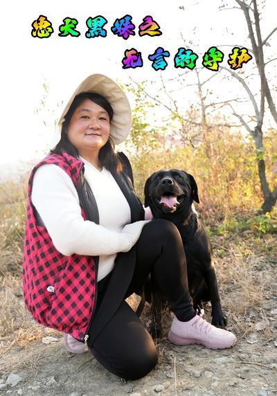 忠犬黑妹之无言的守护}