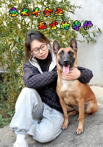 忠犬千金之无言的守护}