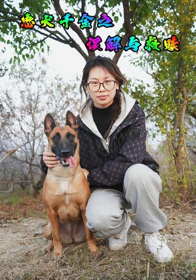忠犬千金之误解与救赎}
