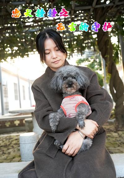 忠犬锤锤之无言的守护}