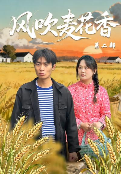 风吹麦花香第二部}