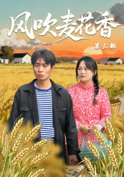 风吹麦花香第三部}