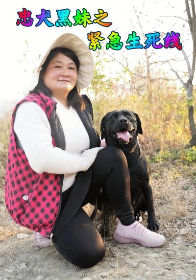 忠犬黑妹之紧急生死线}