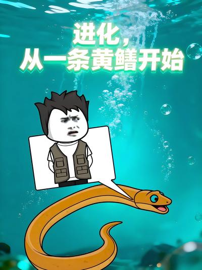 进化，从一条黄鳝开始}