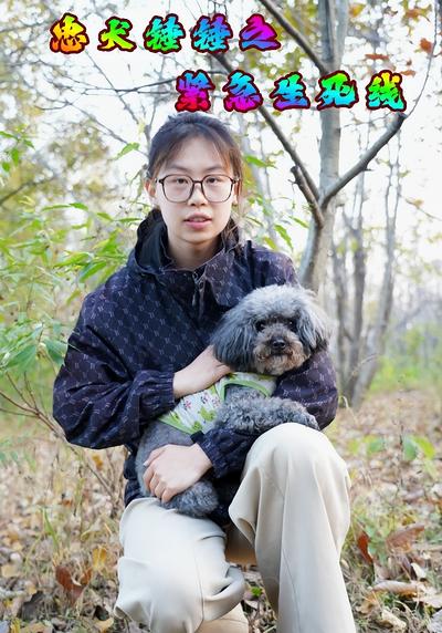 忠犬锤锤之紧急生死线}