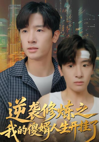 逆袭修炼之我的傻婿人生开挂了}