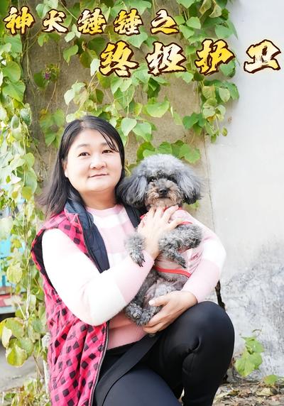 神犬锤锤之终极护卫}