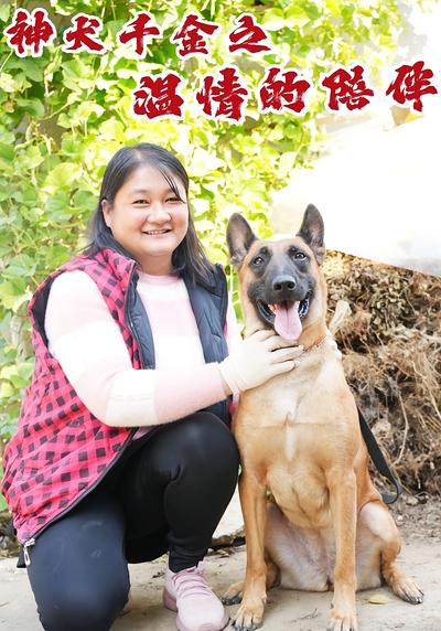 神犬千金之温情的陪伴}