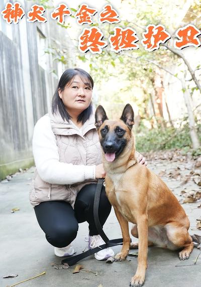神犬千金之终极护卫}