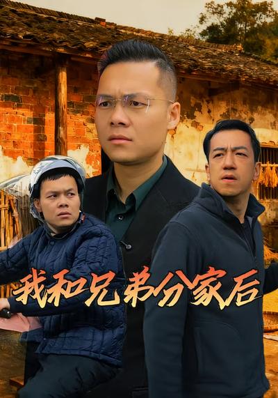 我和兄弟分家后}