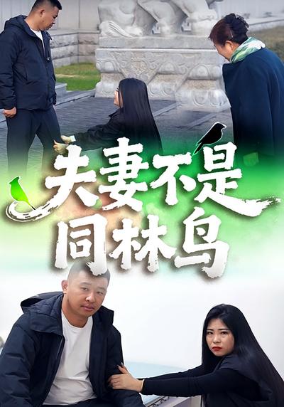 夫妻不是同林鸟}
