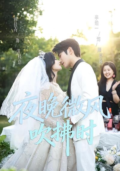 夜晚微风吹拂时}