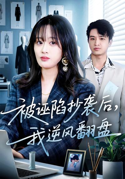 被诬陷抄袭后，我逆风翻盘}