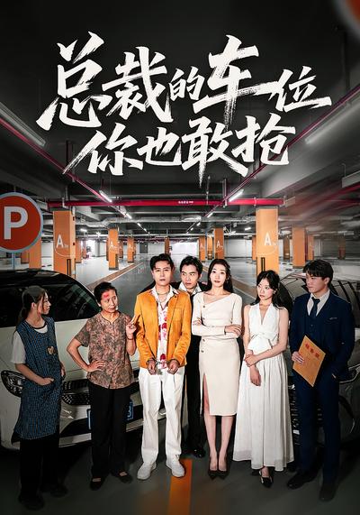 总裁的车位你也敢抢}