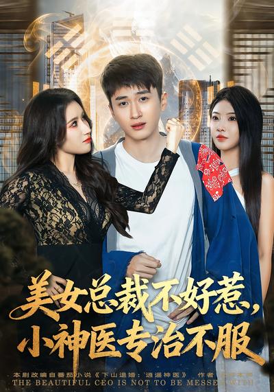 美女总裁不好惹，小神医专治不服}