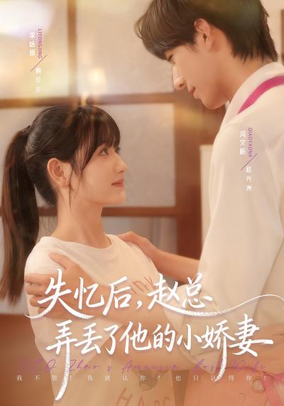 失忆后，赵总弄丢了他的小娇妻}