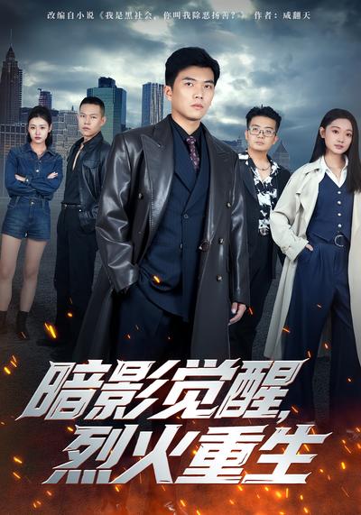 暗影觉醒，烈火重生}