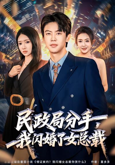 民政局分手，我闪婚了女总裁}