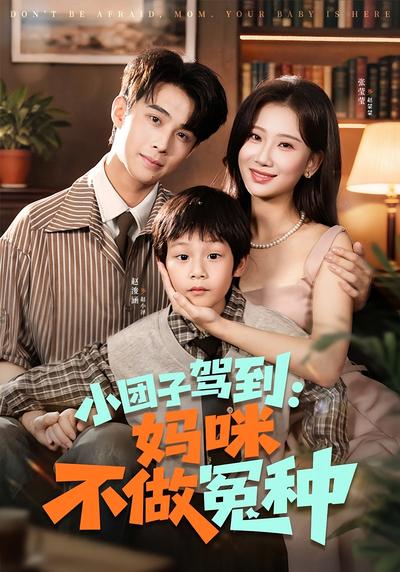 小团子驾到：妈咪不做冤种}