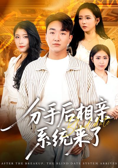 分手后相亲系统来了}