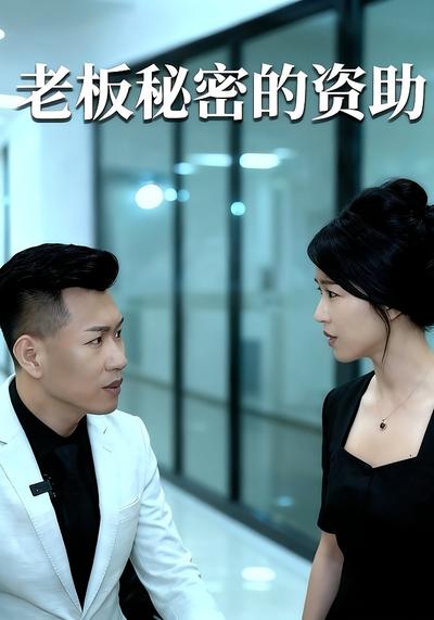 老板秘密的资助}