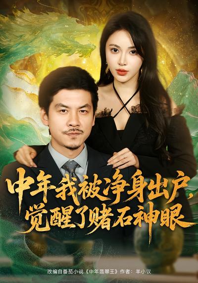 中年我被净身出户，觉醒了赌石神眼}