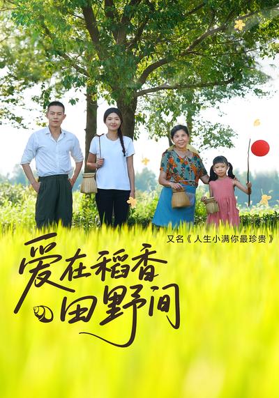爱在稻香田野间}