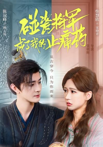 碰瓷将军成了我的止痛药}